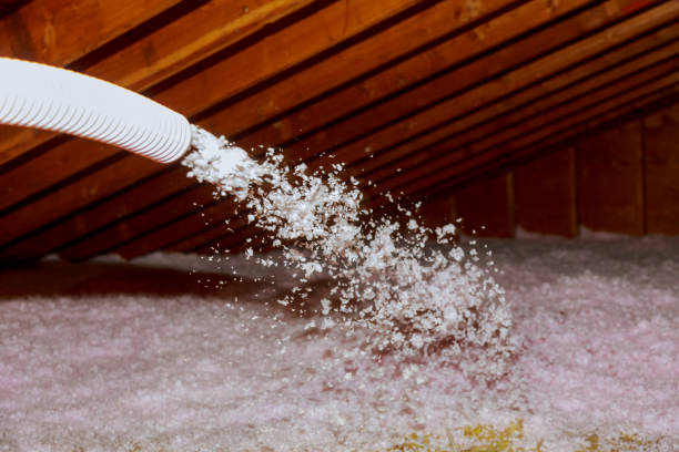 Best DIY Insulation Kits and Guidance in Spring City, UT