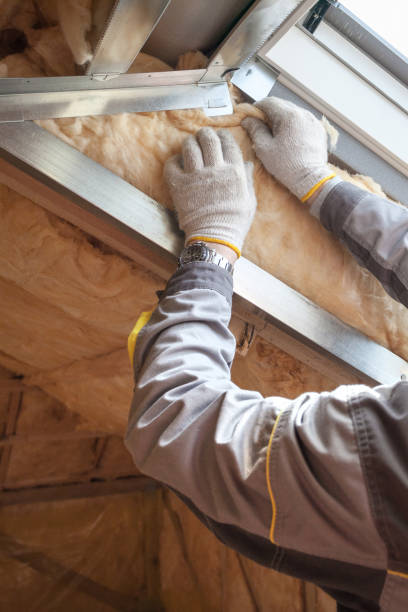 Best Cellulose Insulation in Spring City, UT