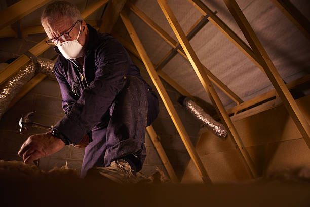 Best Specialized Insulation Services in Spring City, UT